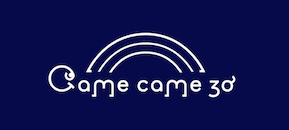 春日部 camecame30 | かめかめさんまる 自然食 オーガニック食材を中心に使用した、ヘルシーで健康的なお料理とスイーツを提供するグルテンフリー&ヴィーガンカフェ